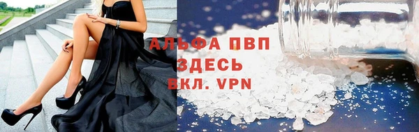 шишки Баксан