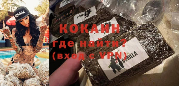шишки Баксан