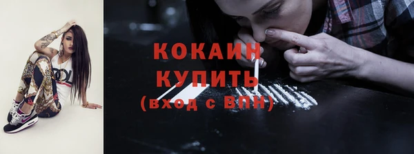шишки Баксан
