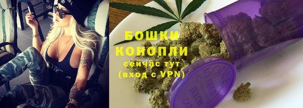 шишки Баксан