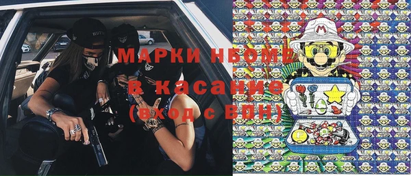 шишки Баксан