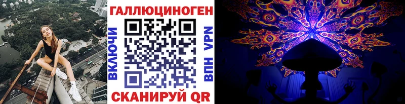 Псилоцибиновые грибы Cubensis  где найти наркотики  Судак 